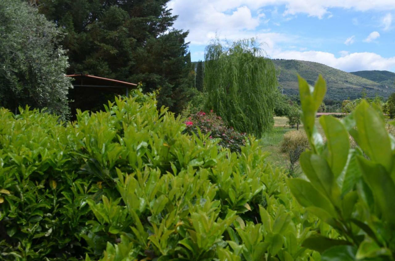 티볼리 카살레 콜레오니 B&B 외부 사진